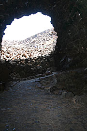 Cueva de los verdes (Foto: Martin Schmitz)